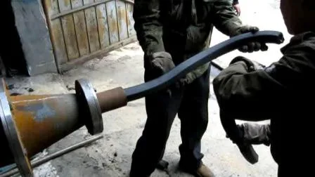 Extrudeuse de briquettes de poudre de charbon de bois d'usine de la Chine faisant la machine (WSMB)