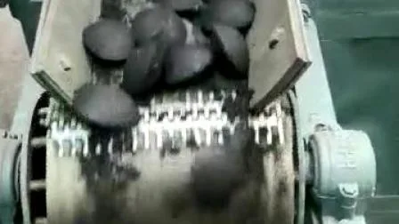 Machine de fabrication de briquettes de pressage de briquettes de charbon de bois et de poudre de charbon de biomasse