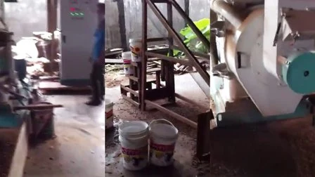 Fournisseur de machine à granulés de bois de taille 6-12 mm à lubrification automatique en provenance de Chine